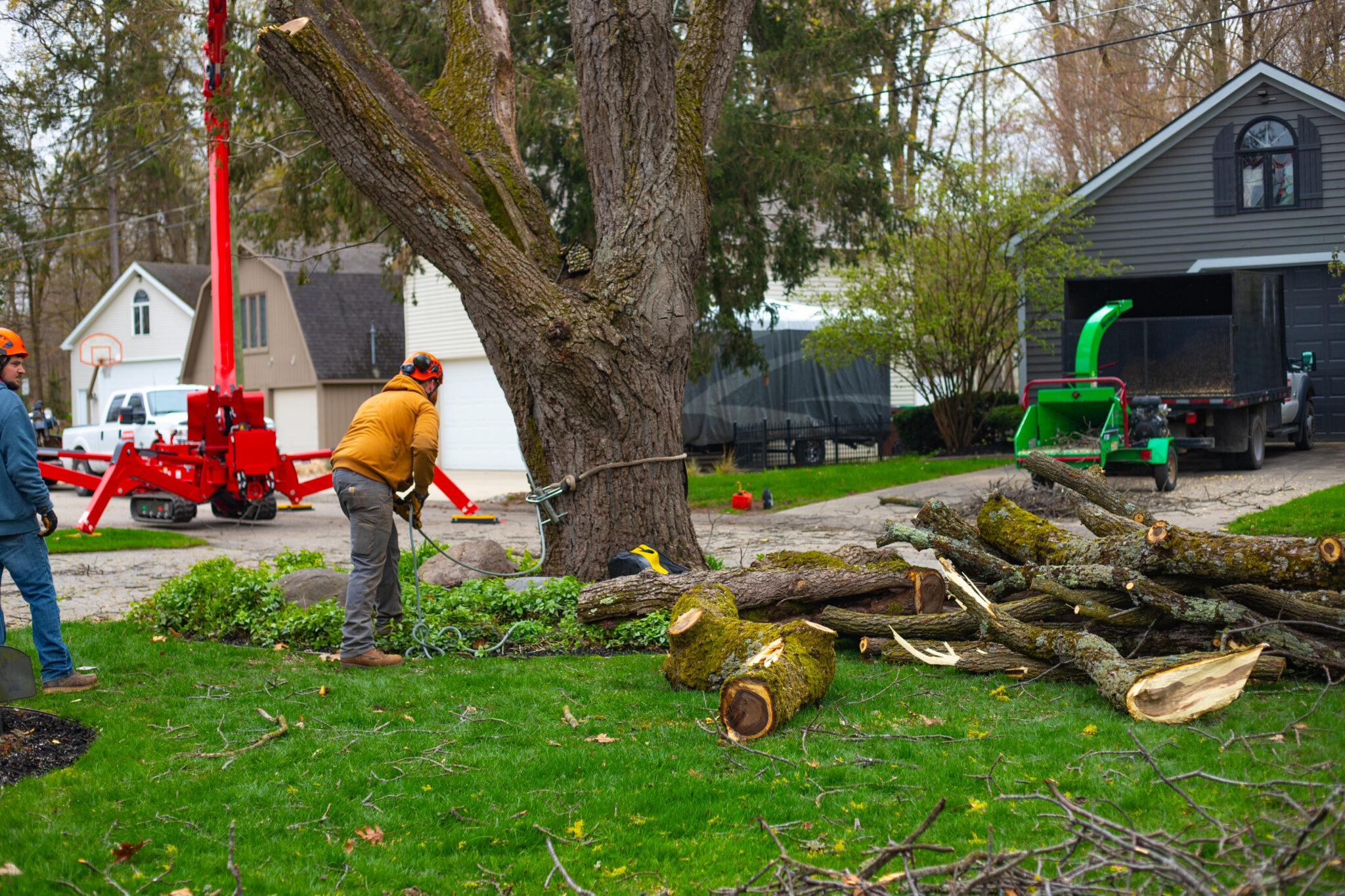 Trell's Tree Service crew at work